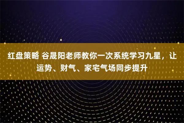 红盘策略 谷晟阳老师教你一次系统学习九星，让运势、财气、家宅气场同步提升