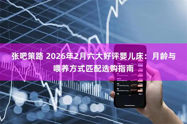 张吧策路 2026年2月六大好评婴儿床：月龄与喂养方式匹配选购指南