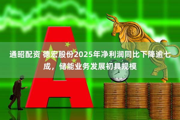 通昭配资 德宏股份2025年净利润同比下降逾七成，储能业务发展初具规模