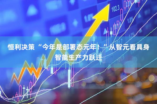 恒利决策 “今年是部署态元年！”从智元看具身智能生产力跃迁