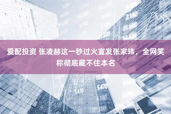 爱配投资 张凌赫这一秒过火宣发张家玮，全网笑称彻底藏不住本名