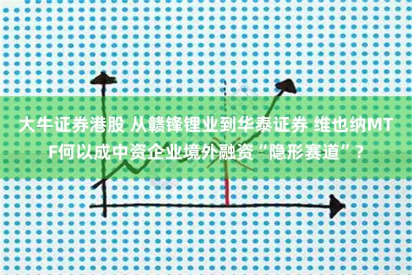 大牛证券港股 从赣锋锂业到华泰证券 维也纳MTF何以成中资企业境外融资“隐形赛道”？