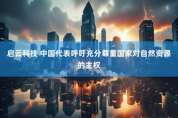 启云科技 中国代表呼吁充分尊重国家对自然资源的主权