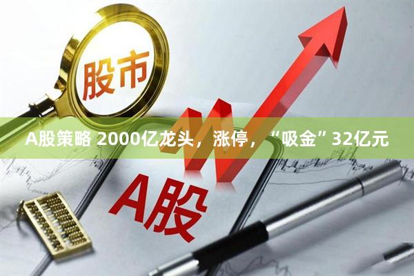 A股策略 2000亿龙头，涨停，“吸金”32亿元