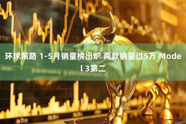 环球策路 1-5月销量榜出炉 两款销量过5万 Model 3第二