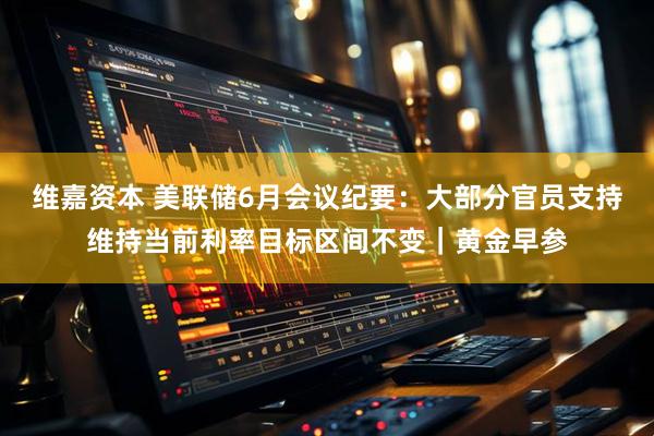 维嘉资本 美联储6月会议纪要：大部分官员支持维持当前利率目标区间不变｜黄金早参