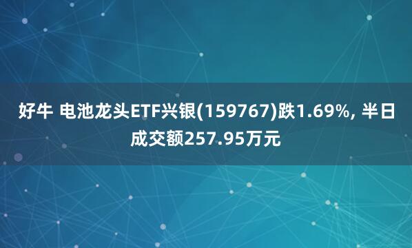好牛 电池龙头ETF兴银(159767)跌1.69%, 半日成交额257.95万元
